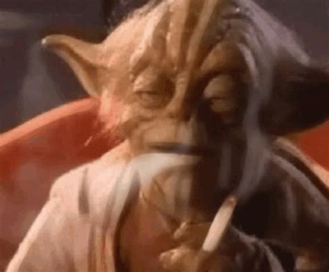Stoned Yoda Gif Stoned Yoda Im So Stoned Discover Share Gifs