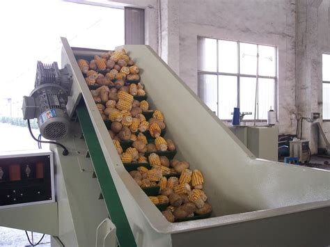 Horizontal Onion Fresh Potato Packing Machine 250023502100mm