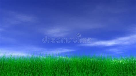 Green Grass And Blue Sky Stock Footage Video Of Video 43653116