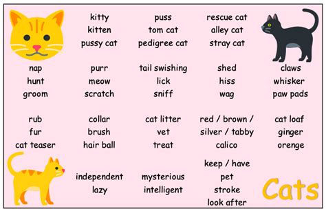 Esl Cats Vocabulary In English