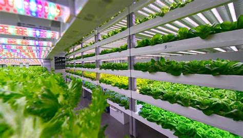 Pertanian kebun kecil (sara diri) 3. China guna teknologi pertanian 'pintar' | Free Malaysia ...