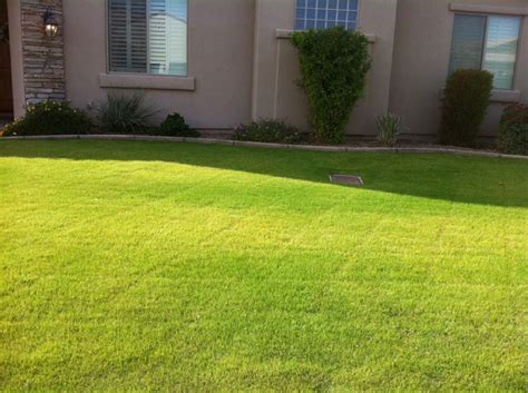 Summer Grass Problems And Easy Grass Solutions Mr Wisegrass Arizona
