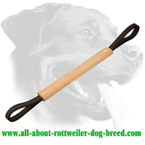 Purchase Rottweiler Hard Genuine Leather Bite Tug Two Long Handles
