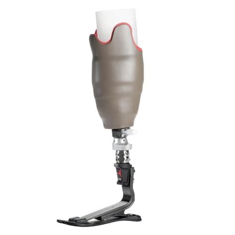 protez ayak fiyatları protez bacak fiyatları 2019 samsun protez ayak