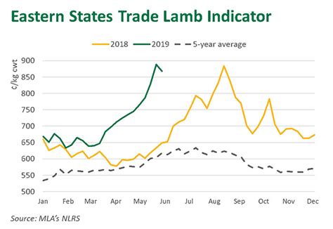 Lamb Prices Ease From Records Meat And Livestock Australia