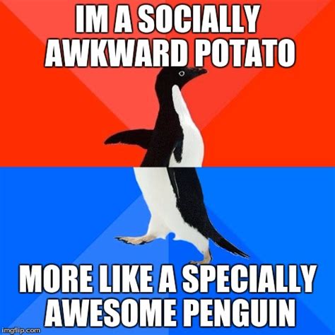 Socially Awesome Awkward Penguin Meme Imgflip