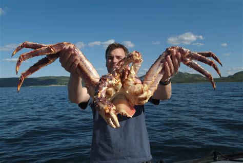 The Largest Crabs Species: You will be surprised to meet them