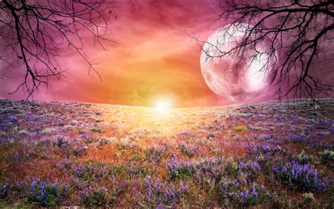 A Dreamy World Full Hd Wallpaper And Background Image 2880x1800 Id