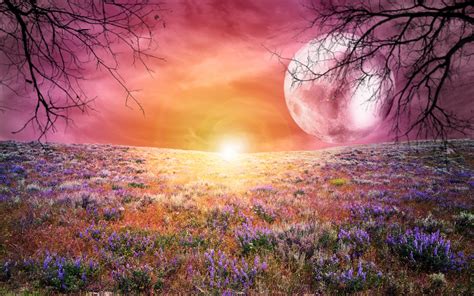 A Dreamy World Hd Wallpaper Background Image 2880x1800 Id416169