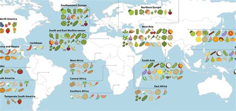 Une Carte De Lorigine Des Fruits Et Légumes Pacha Cartographie