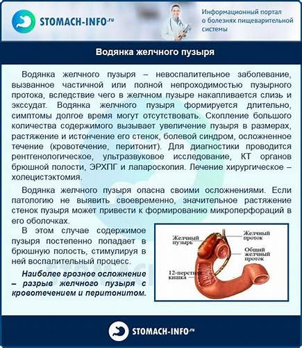 Желчный пузырь диета и лечение Желчный Пузырь Воспаление Симптомы Лечение Диета — Похудение Диета Желчный Пузырь Воспаление Симптомы Лечение Диета — Похудение Диета Желчный пузырь диета и лечение