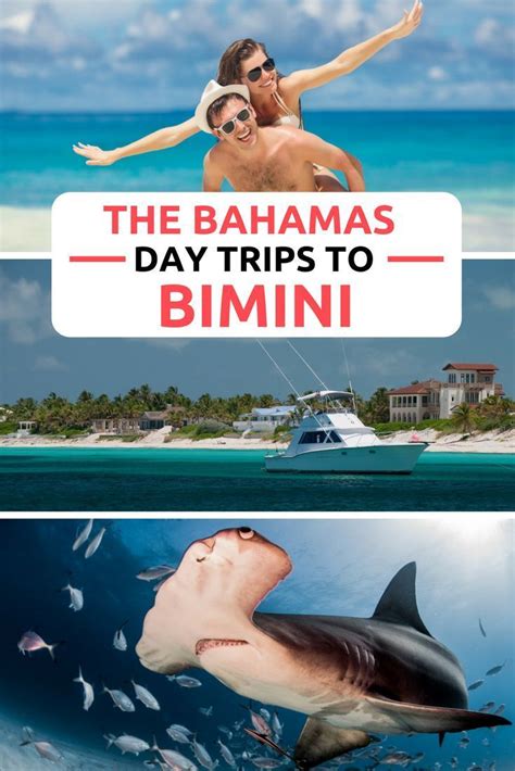 Take A Bahamas Day Cruise To Bimini By Plane Rather Than The Miami To