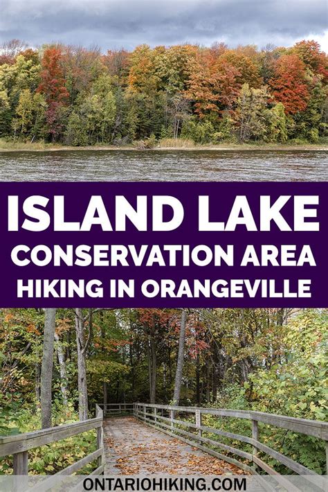 Island Lake Conservation Area Is A Beautiful Hike Around A Vast Lake