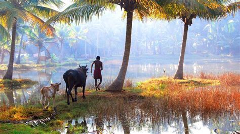 Top 8 Things To Do In Kerala