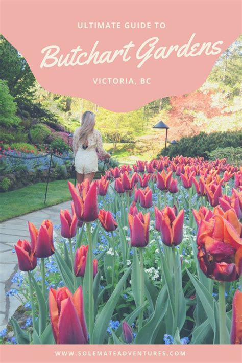 Your Ultimate Guide To Visiting Butchart Gardens In Victoria Bc How