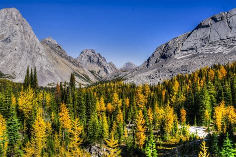 Beautiful Mountain Landscapes In Autumn Stock Image Image Of Camping