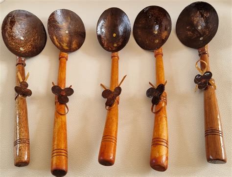 Coconut Shell Spoon