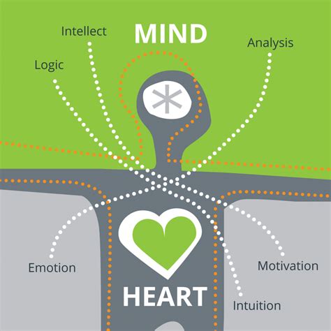 Heart Mind Illustration Spearfish