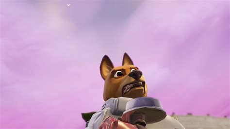 Pets In Fortnite Your Complete Guide Gameup24