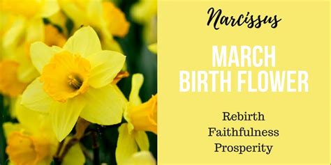 Heres All About March Born Birth Flower