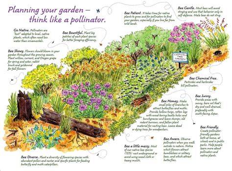 Image Result For Native Pollinator Garden Design Bee Friendly Garden