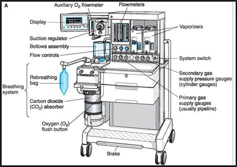 Partes De Una Máquina De Anestesia Maquina De Anestesia Cosas De