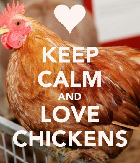 19 Chicken Quotes We Love Ideas Chicken Quotes Chicken Chickens