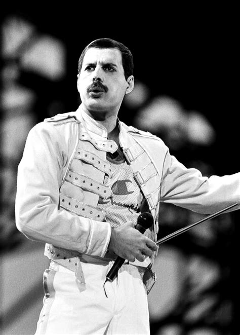 Freddie Freddie Mercury Fotografia 31651896 Fanpop