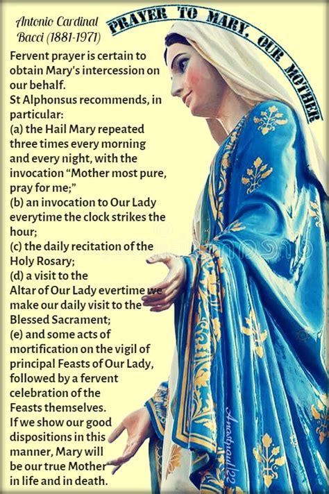 Thought For The Day 23 May Prayer To Mary Our Mother Anastpaul