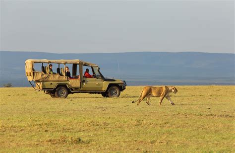 How To Get To Masai Mara Reserve Nairobi City Kenya Safaris Tours