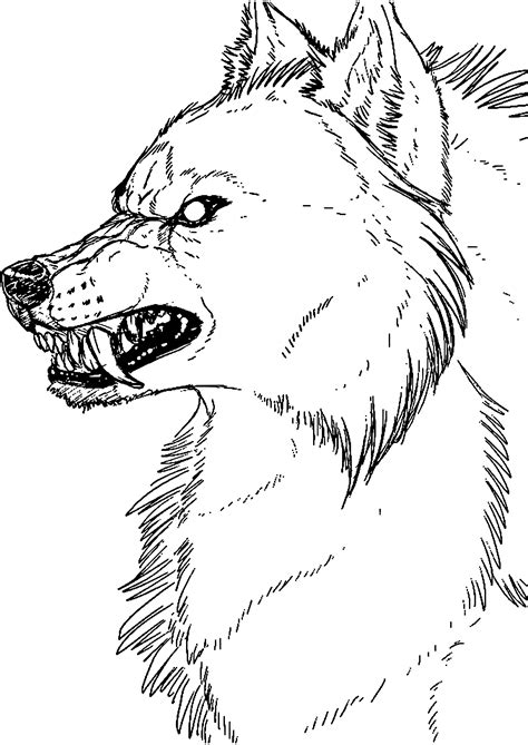 Coloriage Loup Images Loup Loup Dessin Images And Photos Finder