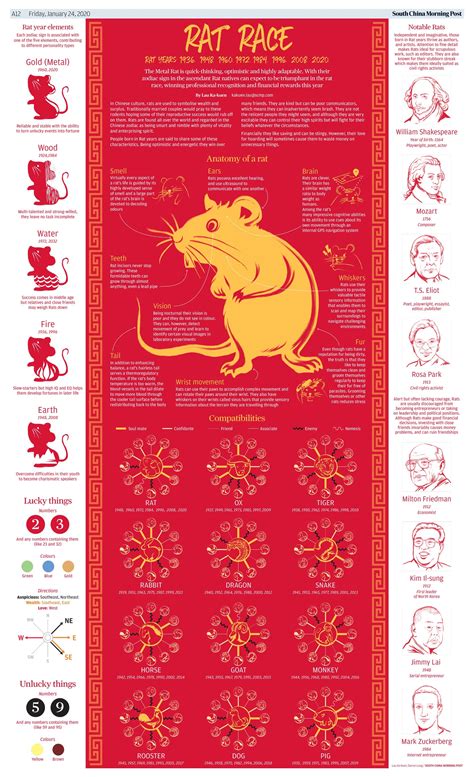 Year Of The Rat Infographic Presentationally