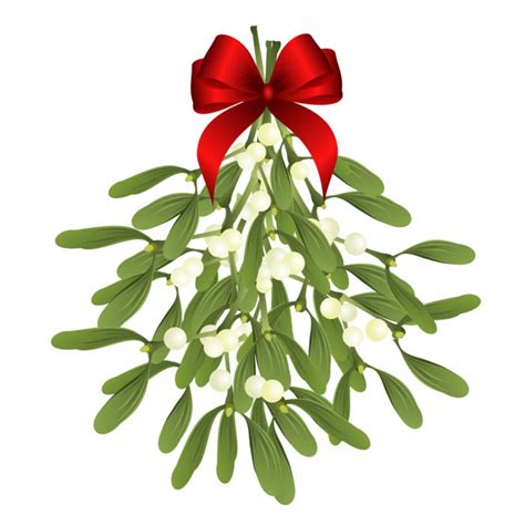 Mistletoe Sprigs With Red Bow Vector Illustration For Christmas Design