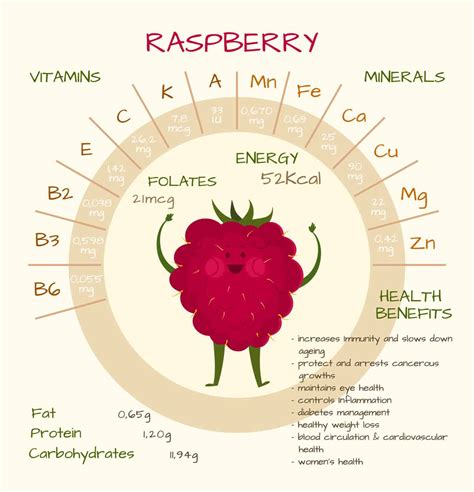 20 Different Types Of Raspberries