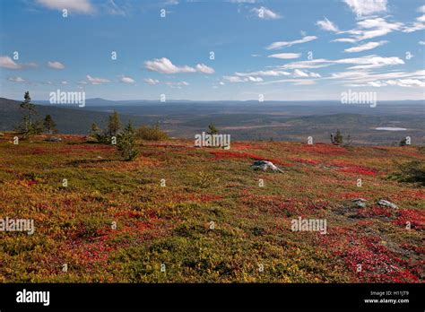 Tundra Colors Hi Res Stock Photography And Images Alamy