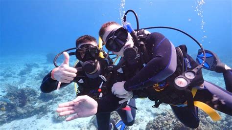 Characteristics Of Scuba Diving Memugaa