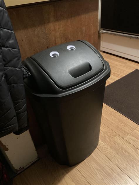 Added Googly Eyes To The Garbage Can He Seems Really Happy To Accept
