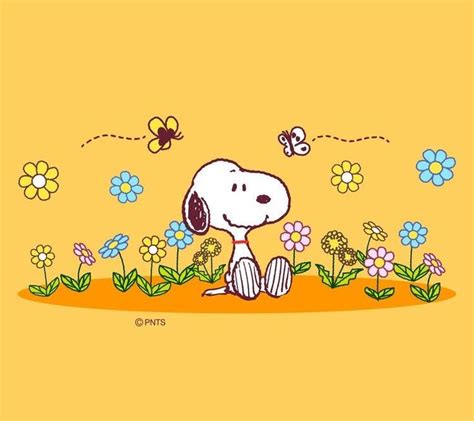Snoopy 4ever Snoopy Pictures Snoopy Wallpaper Snoopy Funny