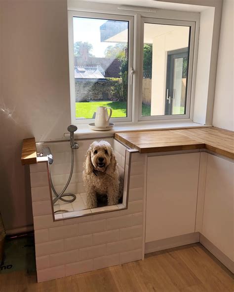 Dog Showers Are One Of The Hottest Trends In The Design World But What