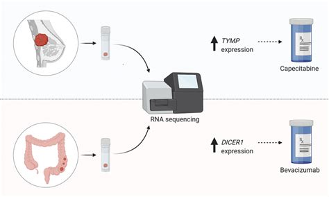 Pog Researchers Uncover Potential Biomarkers For The Treatment Of