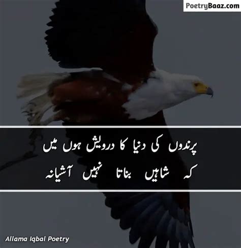 15 Best Allama Iqbal Poetry In Urdu 2 Lines Poetrybaaz