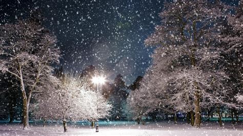 🥇 Light Landscapes Nature Winter Snow Trees Night Parks Wallpaper 72828