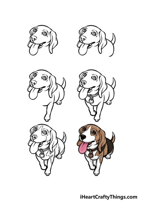 Beagle Drawing How To Draw A Beagle Step By Step