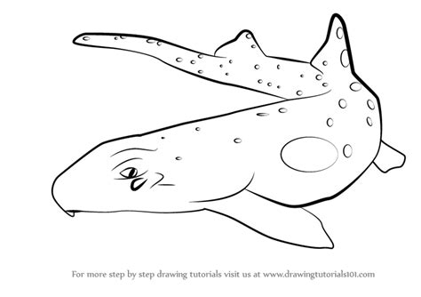 Free coloring pages for kids. Learn How to Draw an Epaulette Shark (Sharks) Step by Step ...