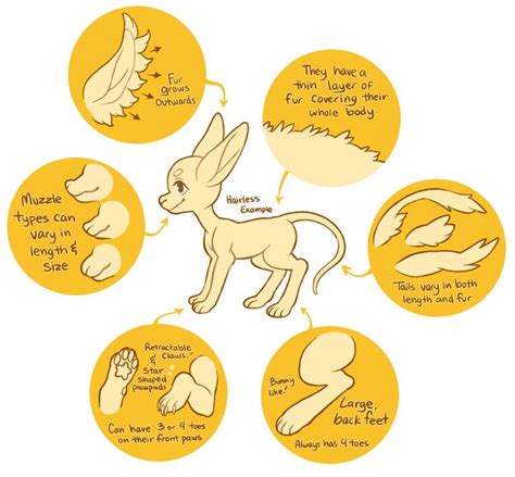 Astroflare Anatomy Guide By Ponkochi Dragon Sketch Traits Deviantart