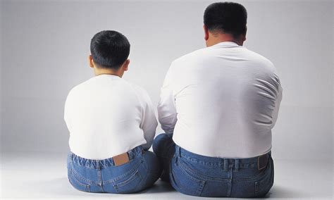 A Fat Fathers Legacy Obese Males Could Pass On Genes That Make Their