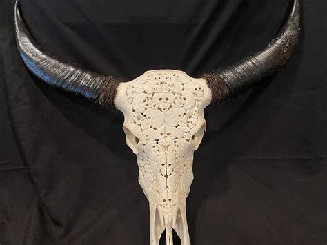 Water Buffalo Skull W Skulls Carving Wormtown Trading Company
