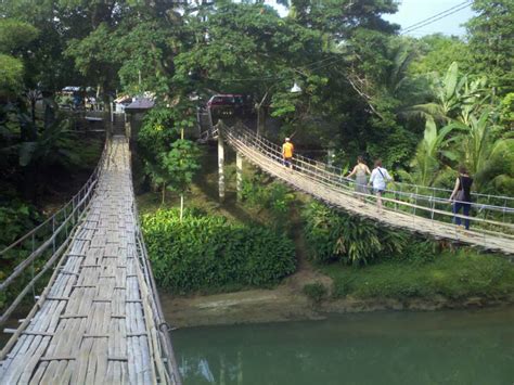Tour To Bamboo Hanging Bridge Aila Homestay Panglao Bohol Philippines