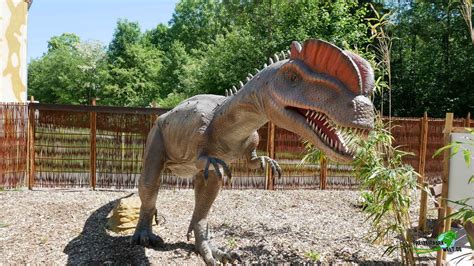 Der park ist für den besuch mit kleinen kinder sehr gut geeignet, da im freizeitpark die meisten anlagen für kleinkinder ausgelegt sind. Jurassic Safari - Serengeti-Park | Freizeitpark-Welt.de