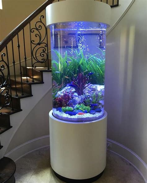 Best Ideas To Arrange An Aquarium Or Fish Tank In Home Live Enhanced